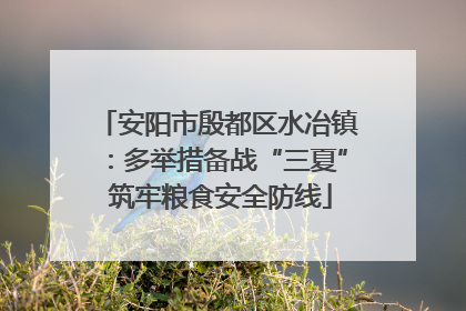 安阳市殷都区水冶镇：多举措备战“三夏” 筑牢粮食安全防线