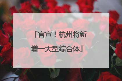 官宣！杭州将新增一大型综合体