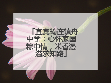 宜宾筠连镇舟中学：心怀家国粽中情，米香漫溢求知路