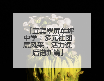 宜宾翠屏牟坪中学：多元社团展风采，活力课后谱新篇