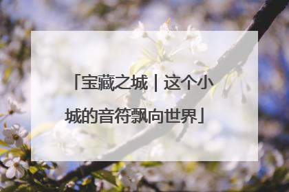宝藏之城｜这个小城的音符飘向世界