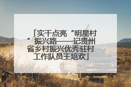 实干点亮“明星村”振兴路——记贵州省乡村振兴优秀驻村工作队员王培欢