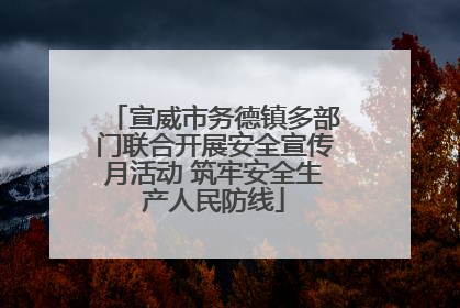 宣威市务德镇多部门联合开展安全宣传月活动 筑牢安全生产人民防线