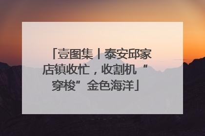 壹图集丨泰安邱家店镇收忙，收割机“穿梭”金色海洋