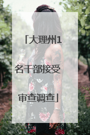 大理州1名干部接受审查调查