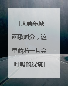 大美东城｜雨歇时分，这里藏着一片会呼吸的绿境