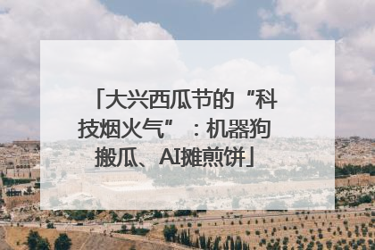 大兴西瓜节的“科技烟火气”：机器狗搬瓜、AI摊煎饼