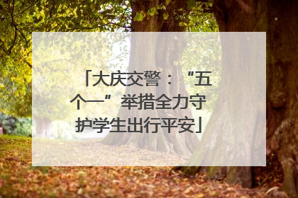 大庆交警:“五个一”举措全力守护学生出行平安