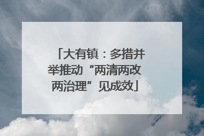 大有镇：多措并举推动“两清两改两治理”见成效