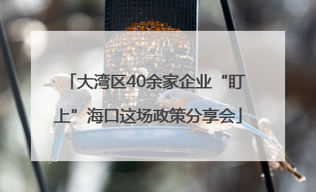大湾区40余家企业“盯上”海口这场政策分享会