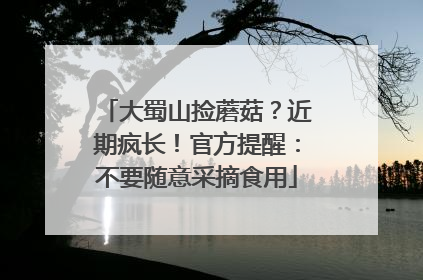 大蜀山捡蘑菇？近期疯长！官方提醒：不要随意采摘食用