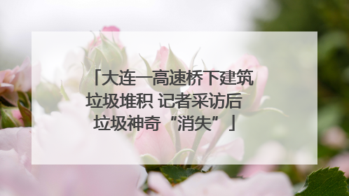 大连一高速桥下建筑垃圾堆积 记者采访后垃圾神奇“消失”