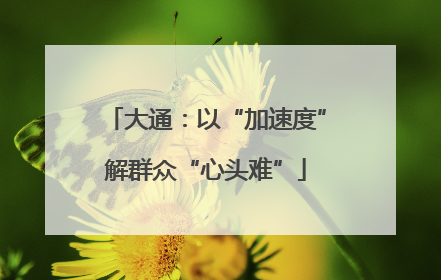 大通：以“加速度”解群众“心头难”