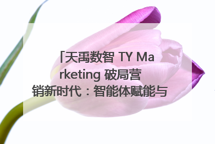 天禹数智 TY Marketing 破局营销新时代：智能体赋能与人才培育双轮驱动