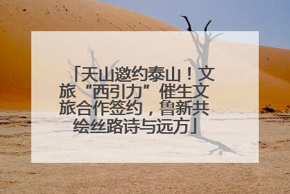 天山邀约泰山！文旅“西引力”催生文旅合作签约，鲁新共绘丝路诗与远方