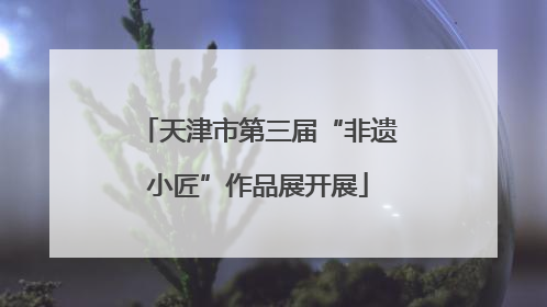 天津市第三届“非遗小匠”作品展开展