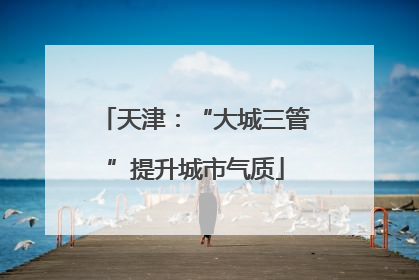 天津：“大城三管”提升城市气质