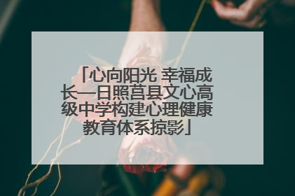 心向阳光 幸福成长—日照莒县文心高级中学构建心理健康教育体系掠影