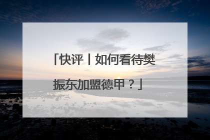 快评丨如何看待樊振东加盟德甲？