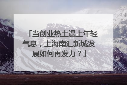 当创业热土遇上年轻气息，上海南汇新城发展如何再发力？