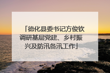 德化县委书记方俊钦调研基层党建、乡村振兴及防汛备汛工作