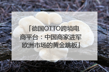 德国OTTO跨境电商平台：中国商家进军欧洲市场的黄金跳板