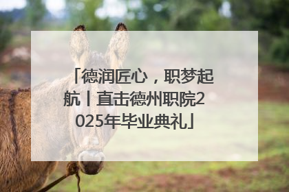 德润匠心，职梦起航丨直击德州职院2025年毕业典礼