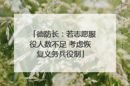 德防长：若志愿服役人数不足 考虑恢复义务兵役制
