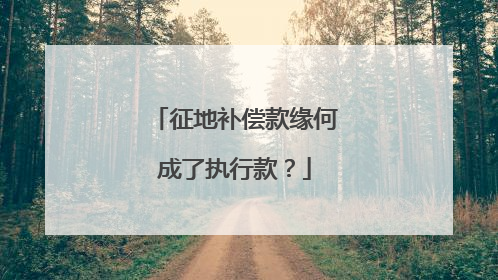 征地补偿款缘何成了执行款？