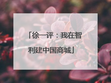 徐一评：我在智利建中国商城
