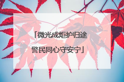 微光成炬护归途 警民同心守安宁