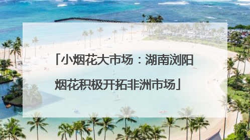 小烟花大市场：湖南浏阳烟花积极开拓非洲市场