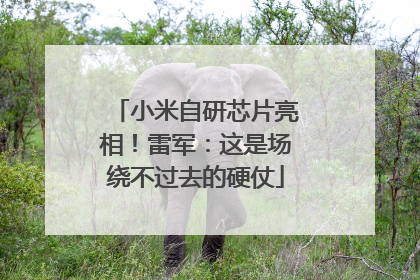 小米自研芯片亮相！雷军：这是场绕不过去的硬仗