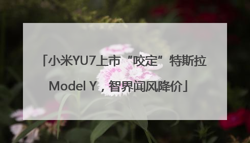 小米YU7上市“咬定”特斯拉Model Y，智界闻风降价