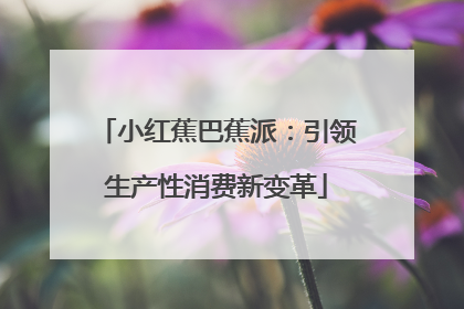 小红蕉巴蕉派：引领生产性消费新变革