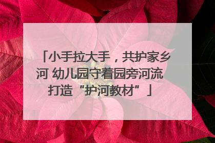 小手拉大手，共护家乡河 幼儿园守着园旁河流打造“护河教材”