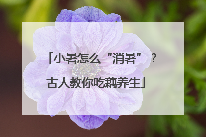 小暑怎么“消暑”？古人教你吃藕养生