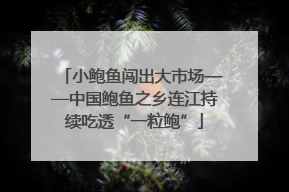 小鲍鱼闯出大市场——中国鲍鱼之乡连江持续吃透“一粒鲍”