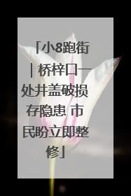 小8跑街｜桥梓口一处井盖破损存隐患 市民盼立即整修