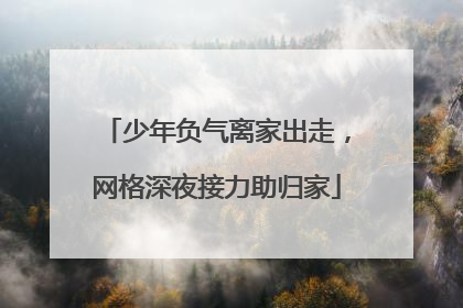 少年负气离家出走，网格深夜接力助归家