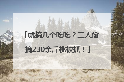 就摘几个吃吃？三人偷摘230余斤桃被抓！