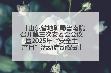 山东省地矿局鲁南院召开第三次安委会会议暨2025年“安全生产月”活动启动仪式