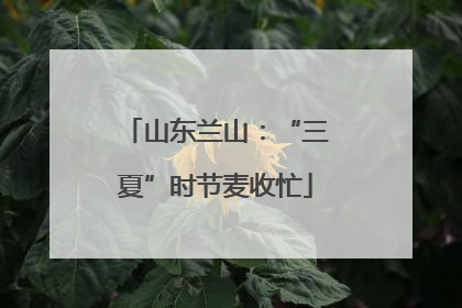山东兰山：“三夏”时节麦收忙