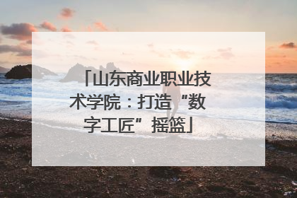 山东商业职业技术学院：打造“数字工匠”摇篮