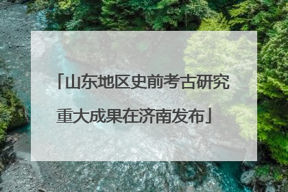 山东地区史前考古研究重大成果在济南发布