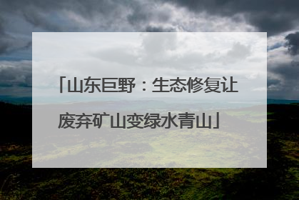 山东巨野：生态修复让废弃矿山变绿水青山