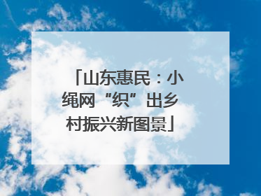 山东惠民：小绳网“织”出乡村振兴新图景