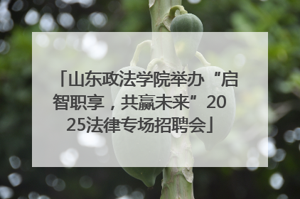 山东政法学院举办“启智职享，共赢未来”2025法律专场招聘会