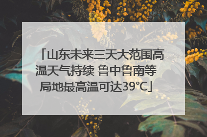 山东未来三天大范围高温天气持续 鲁中鲁南等局地最高温可达39℃