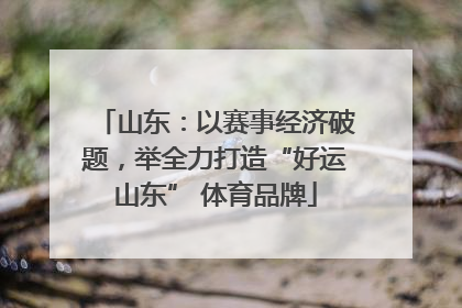 山东：以赛事经济破题，举全力打造“好运山东” 体育品牌